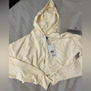 Gymshark Whitney Simmons recovery cropped hoodie